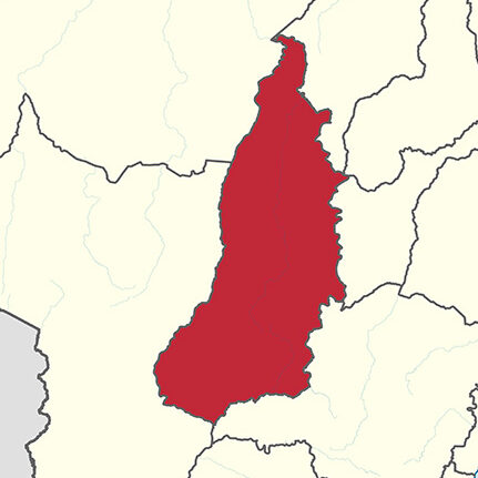 Mapa de Goiás antes da separação entre Goiás e Tocantins.